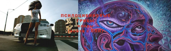 ALPHA PVP Беломорск