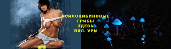 ALPHA PVP Беломорск