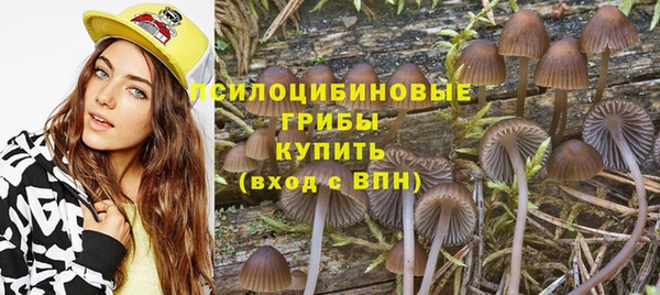 ALPHA PVP Беломорск